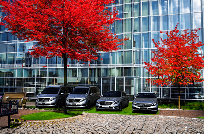 Codicote Taxis